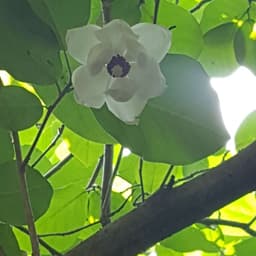 안미미의 프로필 이미지