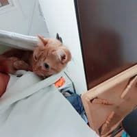 박선우의 프로필 이미지