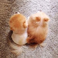 양고운의 프로필 이미지