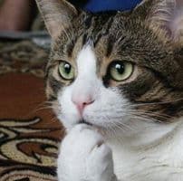 정원빈의 프로필 이미지