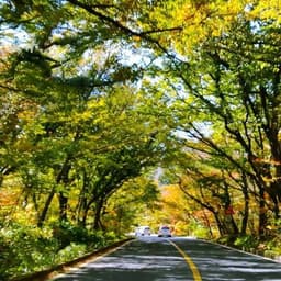 정경원의 프로필 이미지