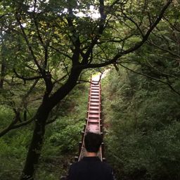 사용자 프로필 1