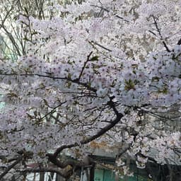 전호은의 프로필 이미지