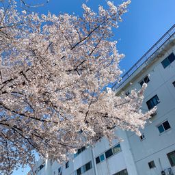 사용자 프로필 1