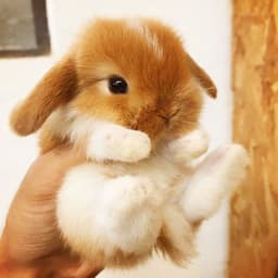 박준표의 프로필 이미지