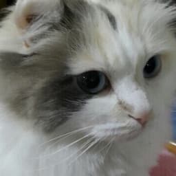 이지은의 프로필 이미지