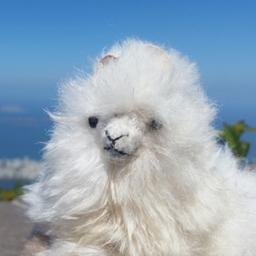 사용자 프로필 1