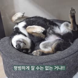 이동구의 프로필 이미지