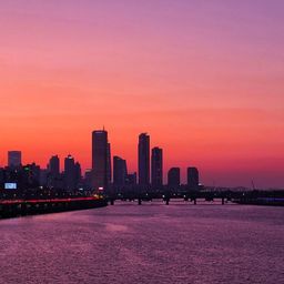 사용자 프로필 1