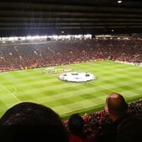 의 프로필 이미지