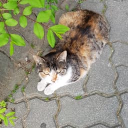 박건우의 프로필 이미지