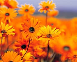 장시영의 프로필 이미지