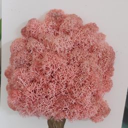 사용자 프로필 1