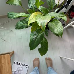 사용자 프로필 1