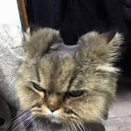 장재원의 프로필 이미지