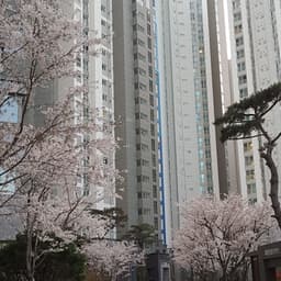 나정석의 프로필 이미지