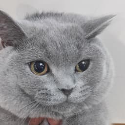 이원규의 프로필 이미지