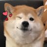 하우의 프로필 이미지