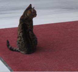 김성욱의 프로필 이미지