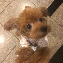 사용자 프로필 1