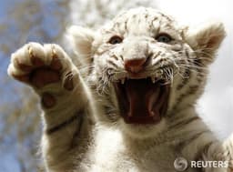 권석의 프로필 이미지