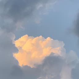 김민지의 프로필 이미지