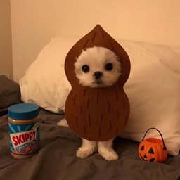 이지우의 프로필 이미지