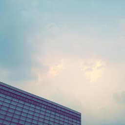 이세정의 프로필 이미지
