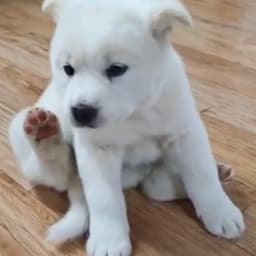 이성우의 프로필 이미지