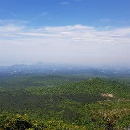 강동현의 프로필 이미지