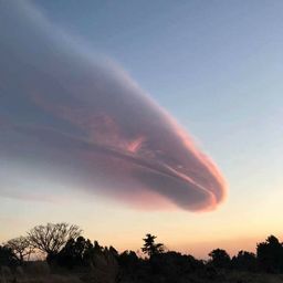 사용자 프로필 1