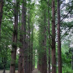 사용자 프로필 1