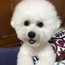 김슬아의 프로필 이미지