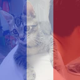 가경화의 프로필 이미지