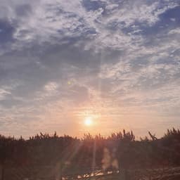 김동규의 프로필 이미지