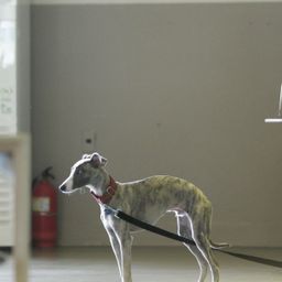 사용자 프로필 1