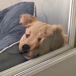 사용자 프로필 1