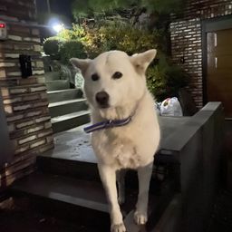 사용자 프로필 1