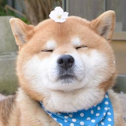 사용자 프로필 1