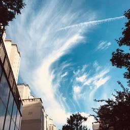 사용자 프로필 1