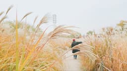 김다솜의 프로필 이미지