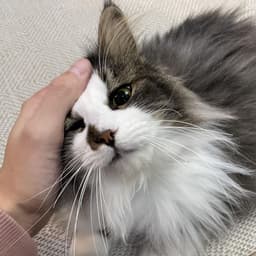 변휘림의 프로필 이미지