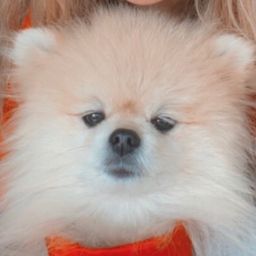 사용자 프로필 1