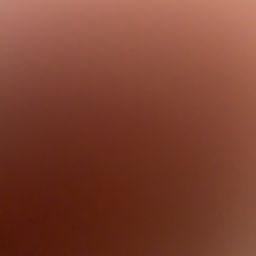 사용자 프로필 1