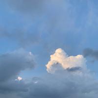 사용자 프로필 1