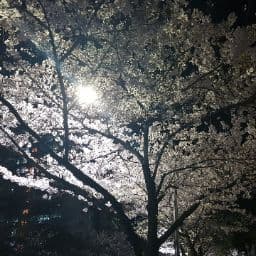 김솔의 프로필 이미지