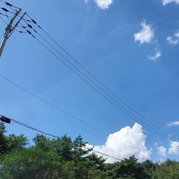 사용자 프로필 1