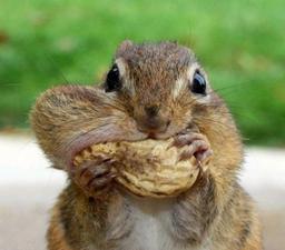 사용자 프로필 1