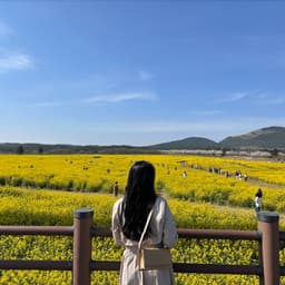 김서은의 프로필 이미지