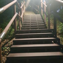 이상영의 프로필 이미지